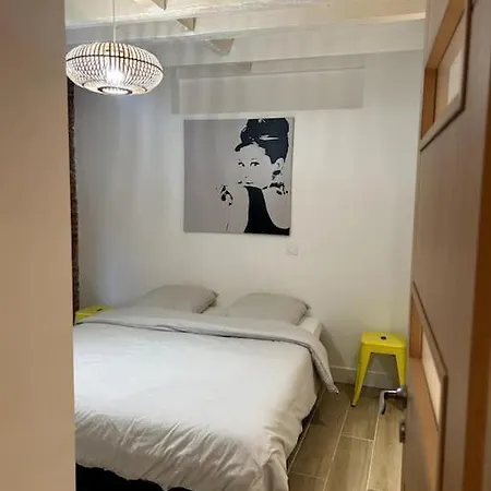 Le - Calme Et Cosy Au Coeur De - Proche Transports Toulouse