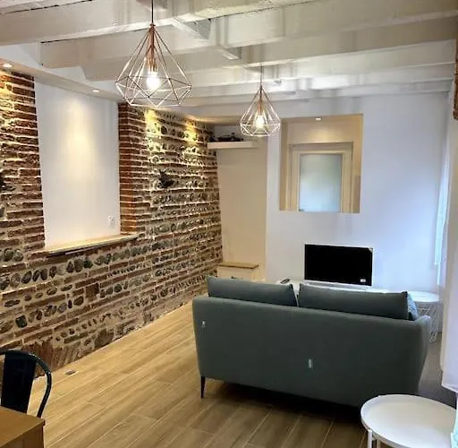 Apartman Le - Calme Et Cosy Au Coeur De - Proche Transports Toulouse